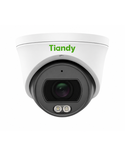 IP-камера купольная Tiandy 2 МП, 2.8 мм, IP67 с микрофоном